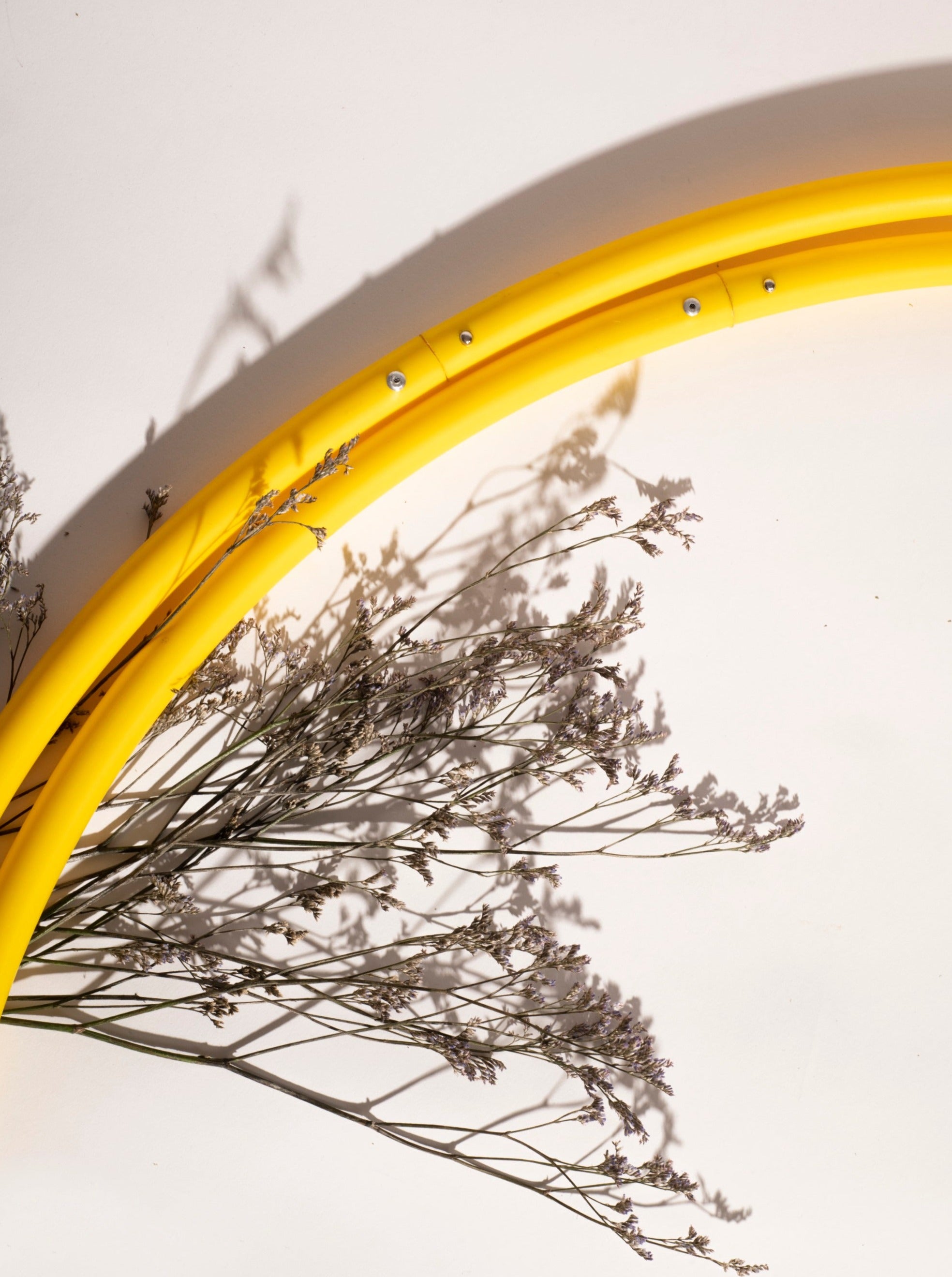 Bare Collapsible Hoop