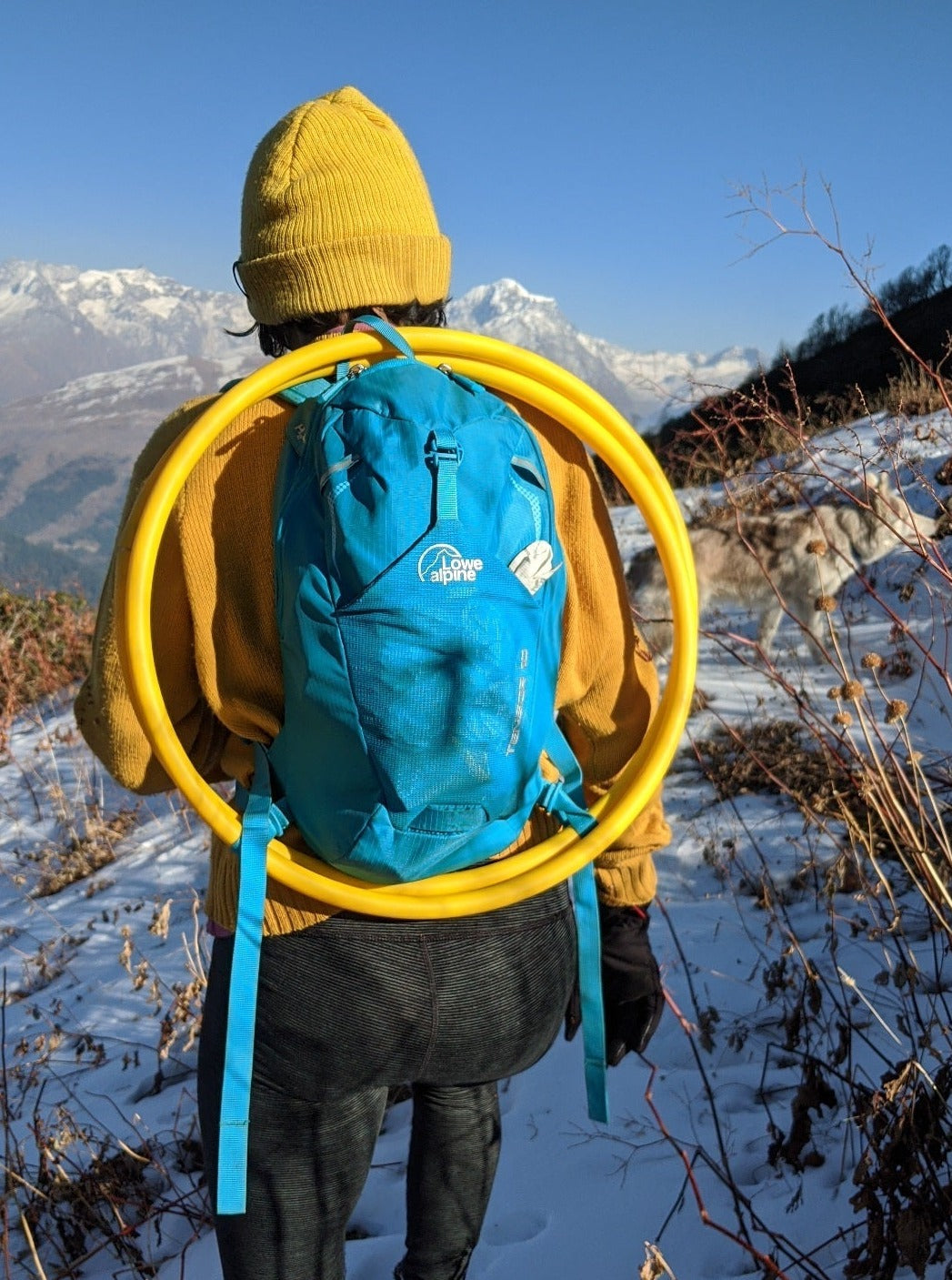 Bare Collapsible Hoop