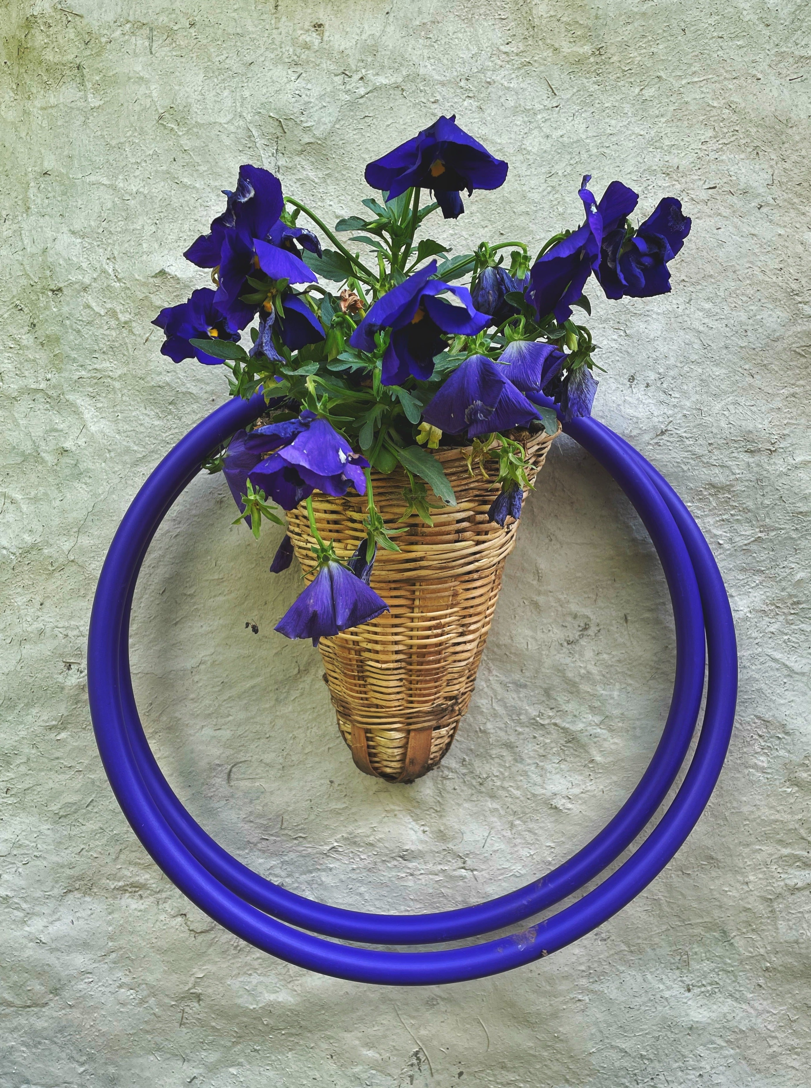 Bare Collapsible Hoop