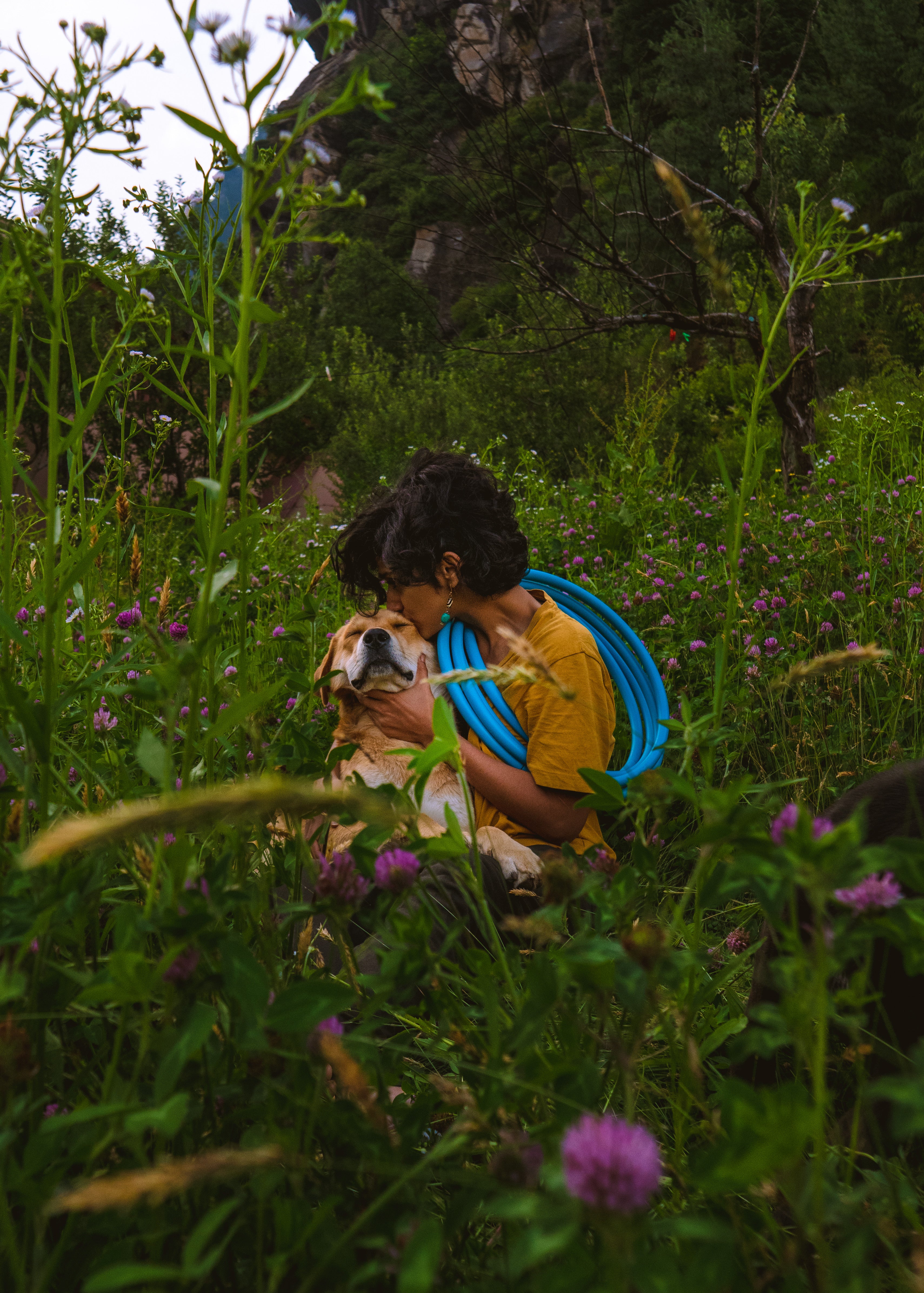 Bare Collapsible Hoop