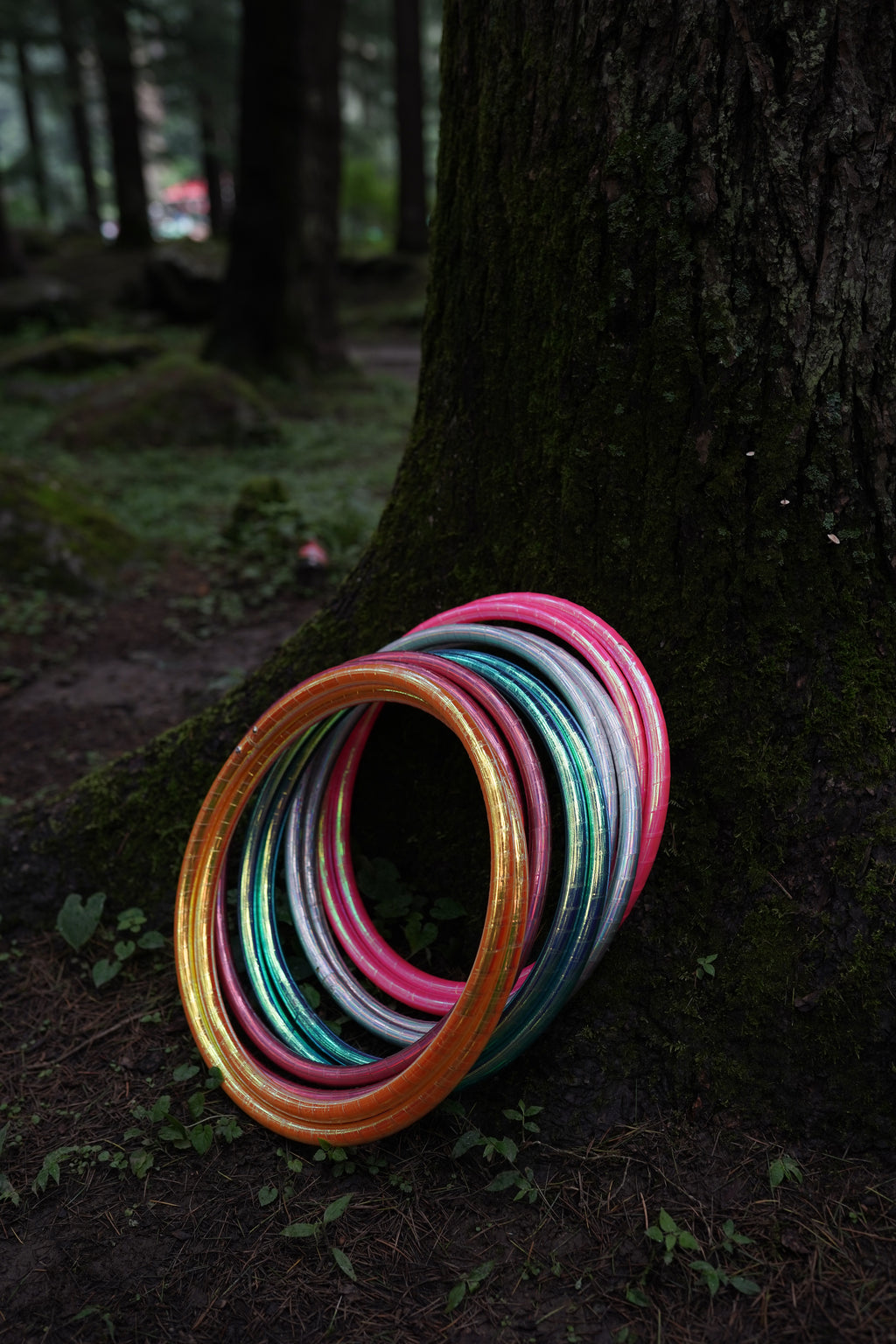 Last of the Forest Hoops
