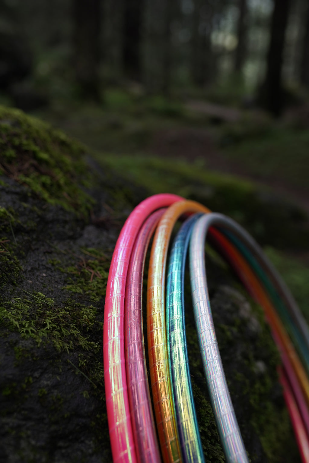 Last of the Forest Hoops