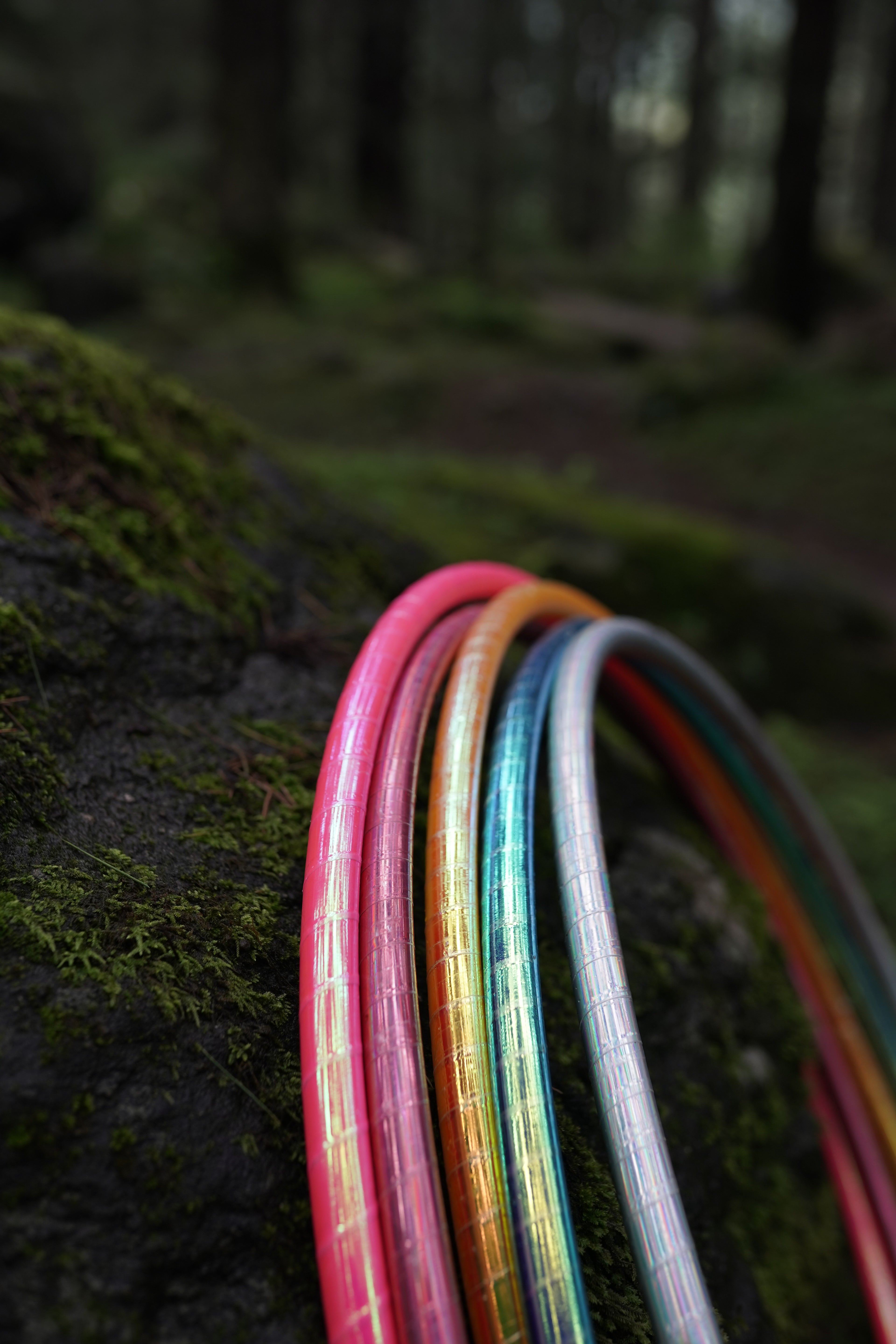 Last of the Forest Hoops