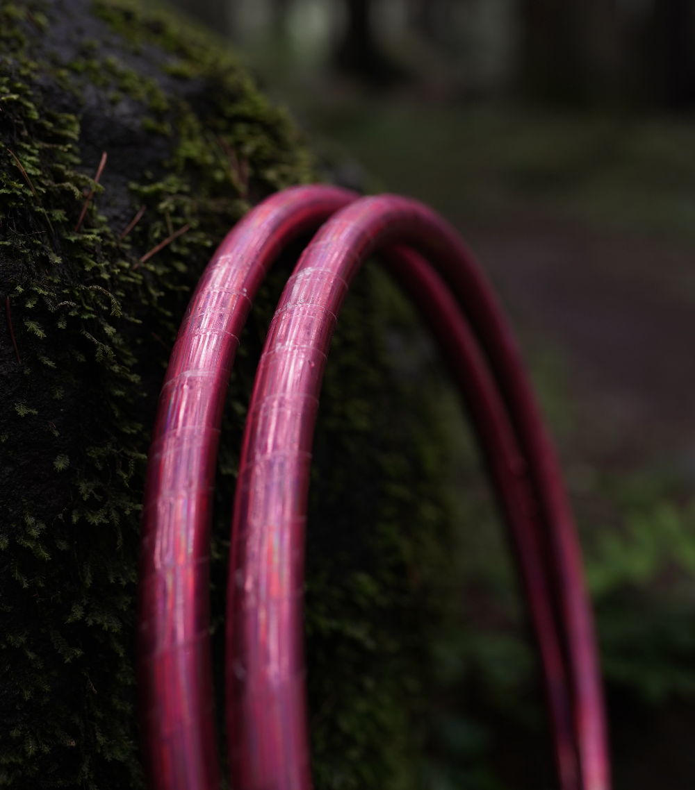 Last of the Forest Hoops