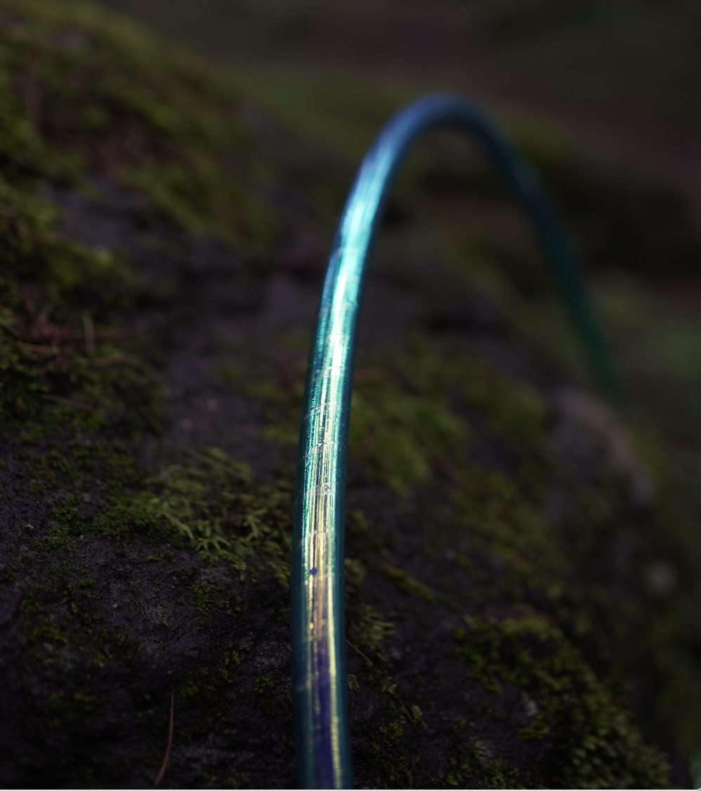 Last of the Forest Hoops