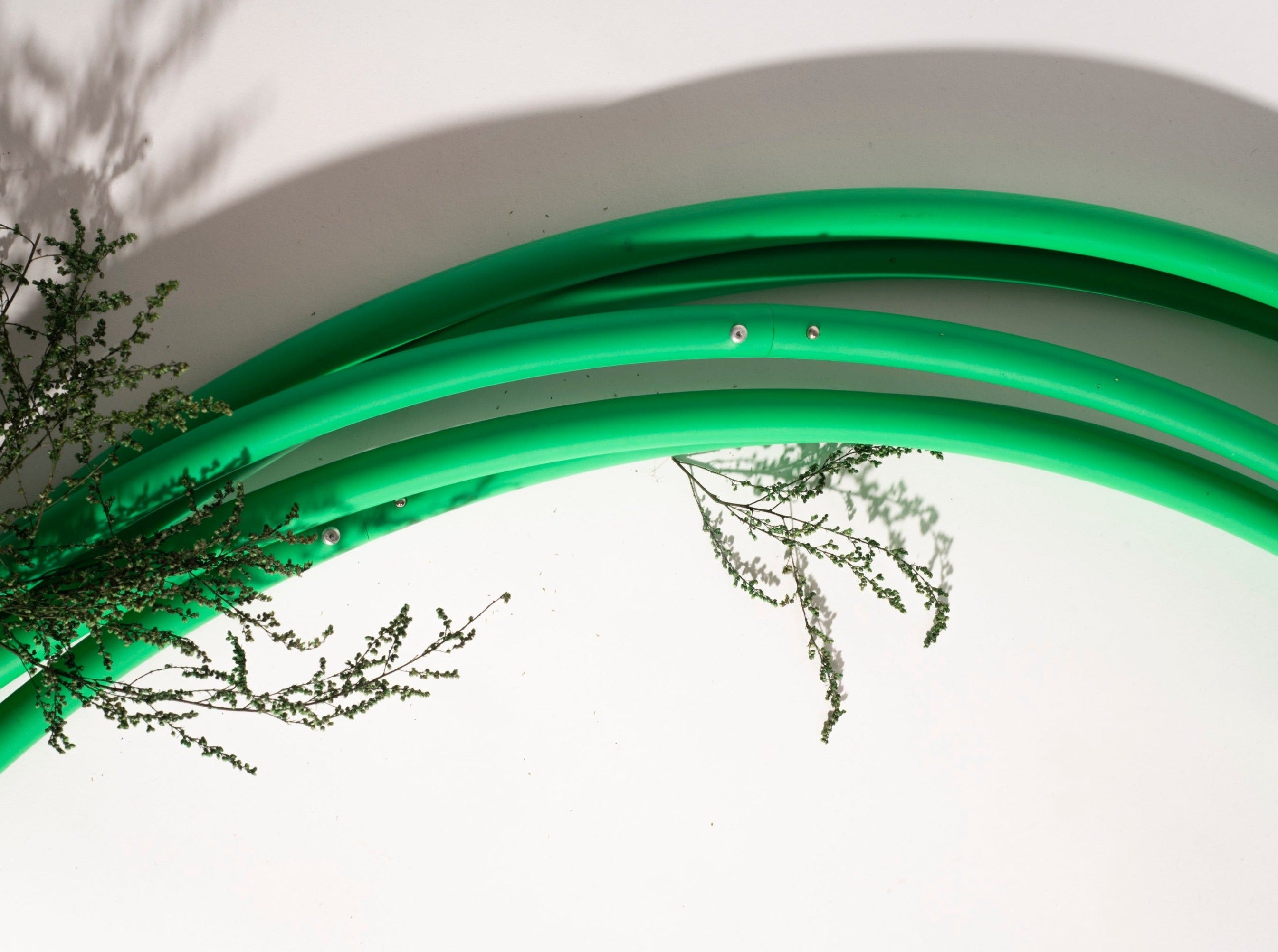 Green Tambourine