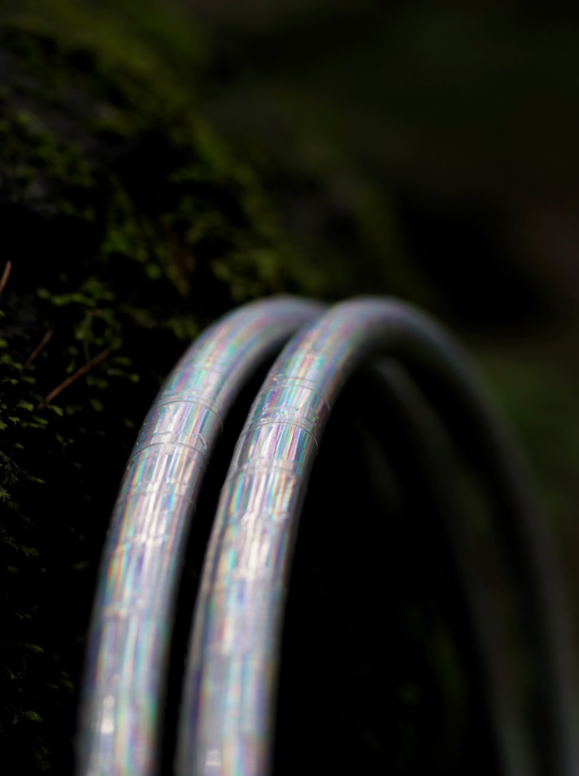Last of the Forest Hoops